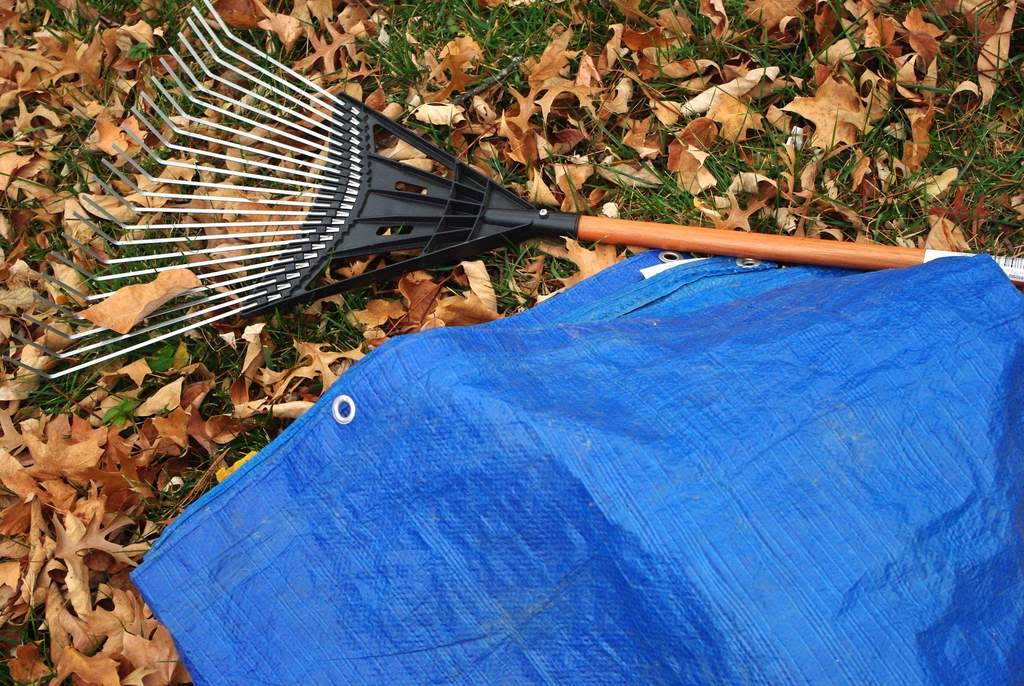 It's Not Work, It's Gardening! Fallen leaves meet rake